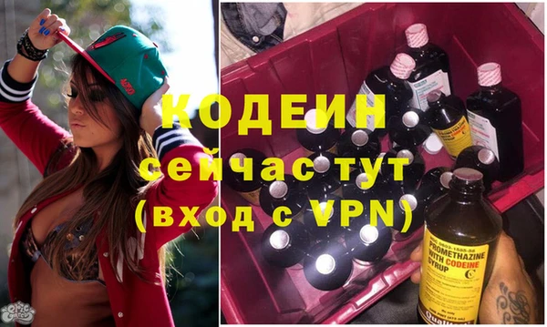 молекула духа Костерёво
