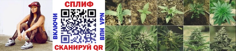 купить закладку  Яранск  Канабис Ganja 